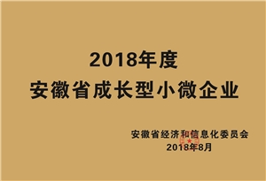 2018年度安徽省成長(cháng)型小微企業(yè)