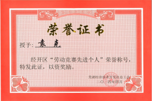 勞動(dòng)競賽先進(jìn)個(gè)人